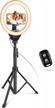 10-inch ring light with tripod stand, phone holder, and remote - ideal for makeup, video calls, and live streaming by eicaus logo