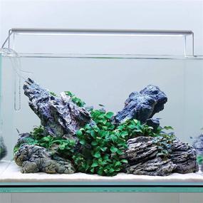 img 1 attached to 🐠 Enhance Your Aquarium with CURRENT USA Seiryu Stone Collection - 11 Pieces for up to 48'' Tanks