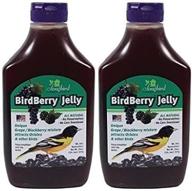 discover the songbird essentials birdberry jelly squeeze bottle bird feeder jelly - specially formulated grape and blackberry jelly for birds! [pack of 2] logo