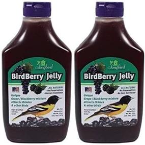 img 4 attached to Discover the Songbird Essentials BirdBerry Jelly Squeeze Bottle Bird Feeder Jelly - Specially formulated Grape and BlackBerry Jelly for Birds! [Pack of 2]