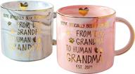 2021 funny grandma & grandpa gifts - pregnancy announcement mugs - promoted from dog to human 11.5oz vilight cups logo