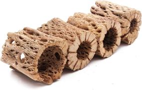 img 2 attached to 🐻 1 Piece of Natural and Hollow Teddy Bear Cholla Wood, Ideal for Organic Aquarium Decoration, Chew Toy for Shrimp, Crab, Pleco, Cichlid, Nano Tank, and Birds - Available in Sizes: 3, 6, 9, or 12 Inches