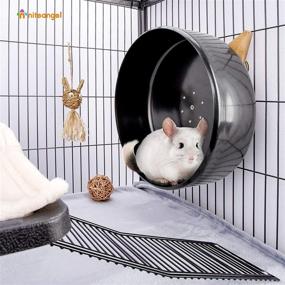 img 3 attached to 🐭 Niteangel Silent & Durable 13.8" Chinchilla Wheel - Exercise Wheel for Chinchilla & Similar-Sized Pets