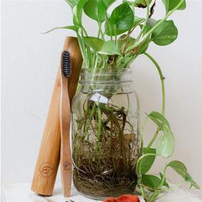 img 1 attached to Biodegradable Bamboo Toothbrush Travel Case: Eco-Friendly Storage Solution