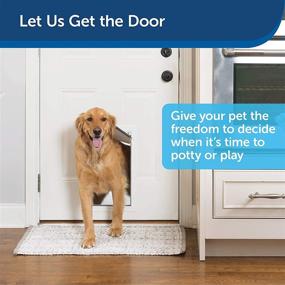 img 3 attached to 🐾 Premium Quality PetSafe Freedom Aluminum Dog and Cat Door - Robust Frame for Medium-Sized Pets
