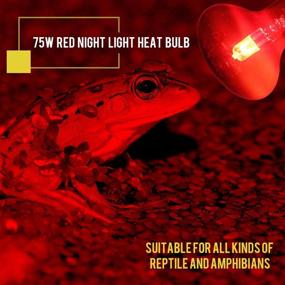 img 1 attached to 🦎 2 Pack OMAYKEY 75W Infrared Heat Lamp Bulb - Red Light Glass Heating Lamps for Lizard, Snake, Bearded Dragon, Chameleon - Ideal for Reptiles & Amphibians in Aquarium