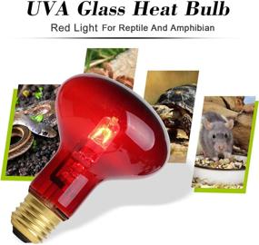 img 2 attached to 🦎 2 Pack OMAYKEY 75W Infrared Heat Lamp Bulb - Red Light Glass Heating Lamps for Lizard, Snake, Bearded Dragon, Chameleon - Ideal for Reptiles & Amphibians in Aquarium