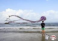 kizh kite octopus large frameless soft parafoil kites 157 inchs long tail easy to fly for adults kids outdoor,activities,beach trip great gift to kids build childhood priceless memories(purple) logo