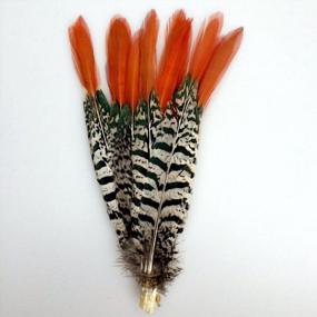 img 1 attached to Sowder 10Pcs Red Lady Amherst Pheasant Plumage Feathers 8-10 Inches For Home Wedding Decoration