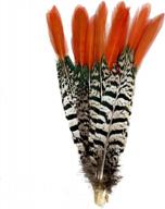 sowder 10pcs red lady amherst pheasant plumage feathers 8-10 inches for home wedding decoration logo