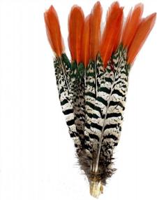 img 3 attached to Sowder 10Pcs Red Lady Amherst Pheasant Plumage Feathers 8-10 Inches For Home Wedding Decoration