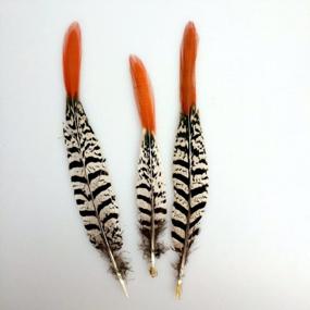 img 2 attached to Sowder 10Pcs Red Lady Amherst Pheasant Plumage Feathers 8-10 Inches For Home Wedding Decoration