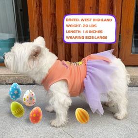 img 2 attached to Easter Dog Tutu Dress With Tulle For Small Dogs - KYEESE Puppy Sundress To Make Your Furry Friend Look Adorable!