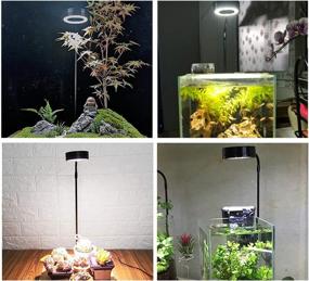 img 1 attached to 🐠 QWLWBU LED Aquarium Light 10W Nano Fish Tank Light USB Powered Full Spectrum LED Light for Plant Growth on Bamboo Board - Ideal Nano Aquarium Light for Bettas and Fish Tanks