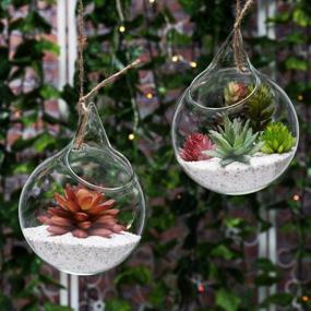img 4 attached to MyGift Clear Glass Hanging Terrarium Globe, Mini Decorative Air Plant Holder Set Of 2