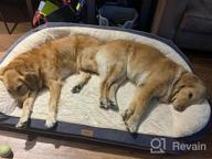 img 1 attached to Upgrade Your Dog'S Rest With EMME Sofa Style Orthopedic Beds - Deluxe Pet Couch With Egg Foam Mattress And Washable Fleece Cover review by Aaron Wood