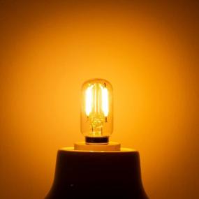 img 2 attached to E12 T22 Low Voltage Edison Bulb LED 12V-24V Vintage Tubular Night Light Bulb 1W 100 Lumen LED Candelabra Light Bulb 2700K 10W Equivalent Small Filament Bulb For RV,Out Door String Lights, Pack Of 25