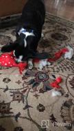 img 1 attached to Lovable Large Breed Dog Toy Set With Squeakers, Plush Animal Stuffed Toys For Puppies, Durable Chewing Dog Toys For Small, Medium, And Large Breeds review by Chris Tisdale