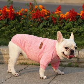 img 2 attached to 🐶 Mummumi® Small Dog Clothes: Stylish and Windproof Knit Sweaters for Chihuahuas, Yorkies, Terriers, and Poodles