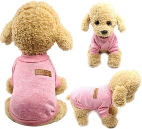 img 1 attached to 🐶 Mummumi® Small Dog Clothes: Stylish and Windproof Knit Sweaters for Chihuahuas, Yorkies, Terriers, and Poodles