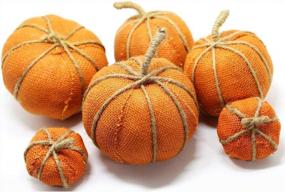 img 4 attached to Vibrant And Versatile: 6-Piece Assorted Size Pumpkin Set In WsCrofts Orange