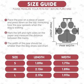 img 3 attached to 🐾 BINGPET Anti-Slip Dog Boots - Premium Paw Protectors with Reflective Straps, All-Season Dog Shoes for Small Dogs - Non-Slip, Indoor & Outdoor Wear Options