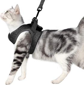 img 4 attached to 🐱 LIANZIMAU Cat Harness Leash Straps - Soft and Comfortable Walking Jacket with Cushioned Running Support, Escape Proof Design - for Puppies and Cats, Featuring Cationic Fabric