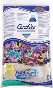 img 1 attached to 🏝️ Special Grade Bimini Pink Reef Sand by CaribSea Arag-Alive - 20-Pound Option