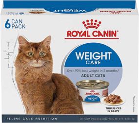 img 4 attached to Royal Canin Feline Health Nutrition Cats best on Food