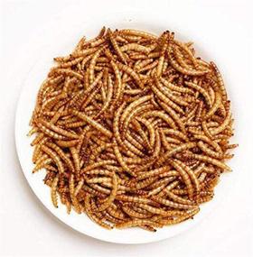 img 3 attached to 🐛 Dried Mealworms - 3.5 oz (2 Pack) - High Protein Non GMO Mealworms - Ideal for Turtle, Bird, Cockatiel, Lizard, Snake, Iguana, and Sulcata Tortoise Food - 3.5oz (2 Pack)
