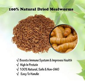 img 2 attached to 🐛 Dried Mealworms - 3.5 oz (2 Pack) - High Protein Non GMO Mealworms - Ideal for Turtle, Bird, Cockatiel, Lizard, Snake, Iguana, and Sulcata Tortoise Food - 3.5oz (2 Pack)