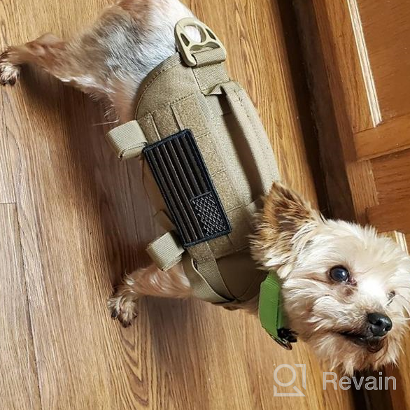 img 1 attached to Tactical Military Dog Harness With Vertical Handle And Durability For Small Puppies - XS (Neck: 11"-17", Chest: 15"-22") review by John Graves