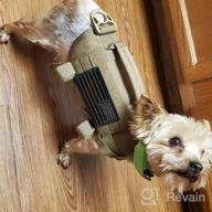 картинка 1 прикреплена к отзыву Tactical Military Dog Harness With Vertical Handle And Durability For Small Puppies - XS (Neck: 11"-17", Chest: 15"-22") от John Graves
