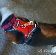 img 1 attached to WINSEE Pet Harness Collar And Leash Set, All-In-One Reflective Dog Harness No Pull With Adjustable Buckles For Puppies, Small, Medium, Large, And Extra-Large Dogs (Small, Black) review by Joshua Vogel