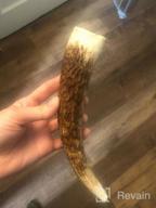 img 1 attached to Ultimate Chew Time: K9Warehouse Large Elk Antlers For Aggressive Dogs With Long-Lasting Odorless Whole Antler Chews review by Darrell Sharp