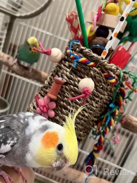img 1 attached to Seagrass Basket Bird Toy With Chewable Parrot Toys - Ideal Foraging Toys For Small-To-Medium-Sized Parrot Birds By KATUMO review by Viswanath Lopez
