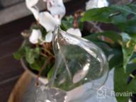 img 1 attached to Effortless Plant Care: KiKiHeim Self-Watering Glass Globes For Indoor And Outdoor Plants - Set Of 2 Hearts review by Joshua Overacre