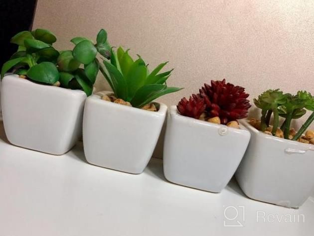 img 1 attached to Set Of 4 Artificial Mini Succulent Plants In White Ceramic Pots, Colorful Faux Succulents For Modern Home Decor review by Brittney Weaver