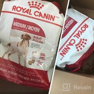 img 1 attached to 17 Lb Bag Of Royal Canin Adult Dry Dog Food For Medium Breeds review by Ivan Gee