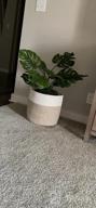 img 1 attached to Stylish And Versatile: OrganiHaus 2-Pack White Woven Baskets For Indoor Plants - 10 & 12 Inch Planter Cover, Flower Pot Wraps, And Fiddle Leaf Fig Pots review by Jay Chowdhury