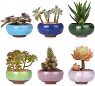 wituse small plant pot, succulent pot ceramic small indoor plant pot for office plant cactus (2.5 inch, 6 pcs) logo