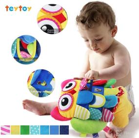 img 4 attached to 🦉 teytoy My First Baby Toys: Owl-themed Crinkle Activity and Teething Toy with Rattle and Textures - Perfect for Sensory Development!
