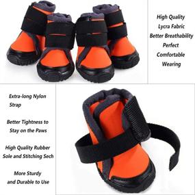 img 2 attached to 🐾 Protect Your Pet's Paws with Petilleur Breathable Dog Hiking Shoes - Perfect for Hot, Ice, and Sharp Pavement