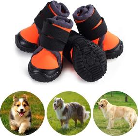 img 4 attached to 🐾 Protect Your Pet's Paws with Petilleur Breathable Dog Hiking Shoes - Perfect for Hot, Ice, and Sharp Pavement