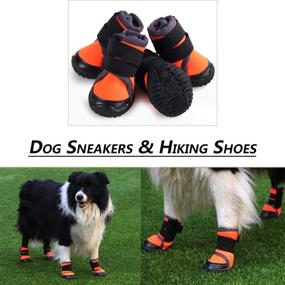 img 3 attached to 🐾 Protect Your Pet's Paws with Petilleur Breathable Dog Hiking Shoes - Perfect for Hot, Ice, and Sharp Pavement