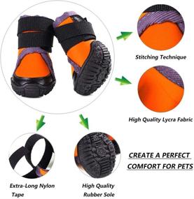 img 1 attached to 🐾 Protect Your Pet's Paws with Petilleur Breathable Dog Hiking Shoes - Perfect for Hot, Ice, and Sharp Pavement