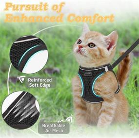 img 3 attached to Escape-Proof Cat Harness and Leash for Safe Walking - Adjustable Kitten Vest with Reflective Soft Mesh for Outdoor Adventures, Comfort Fit, and Easy Control