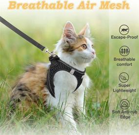 img 1 attached to Escape-Proof Cat Harness and Leash for Safe Walking - Adjustable Kitten Vest with Reflective Soft Mesh for Outdoor Adventures, Comfort Fit, and Easy Control