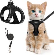 escape-proof cat harness and leash for safe walking - adjustable kitten vest with reflective soft mesh for outdoor adventures, comfort fit, and easy control логотип