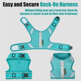 img 1 attached to Rennaio Small Dog and Cat Harness - Breathable, Escape-Proof Puppy Harness with 2 Leash Clips, 360° Reflective Design - Soft Handle Leash Set Included (Mint Green, Size S)